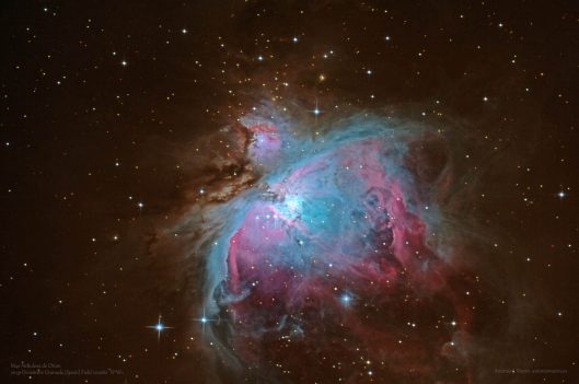 M42 FW