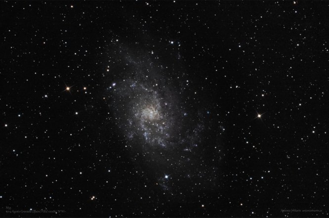 M33 Triangulo FW